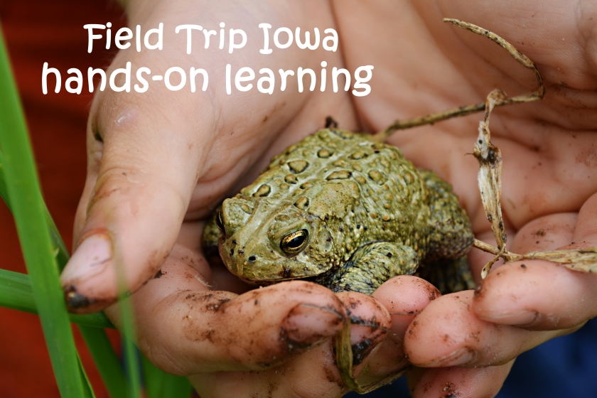 Frog Pond Cottonwood Recreation Area