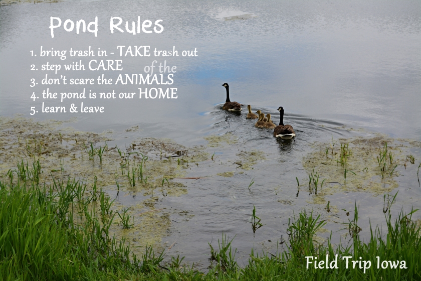 Field-trip-iowa-pond-rules